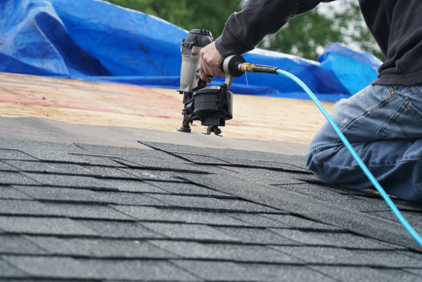 Best Solar Panel Roofing Installation  in Rosend, LA